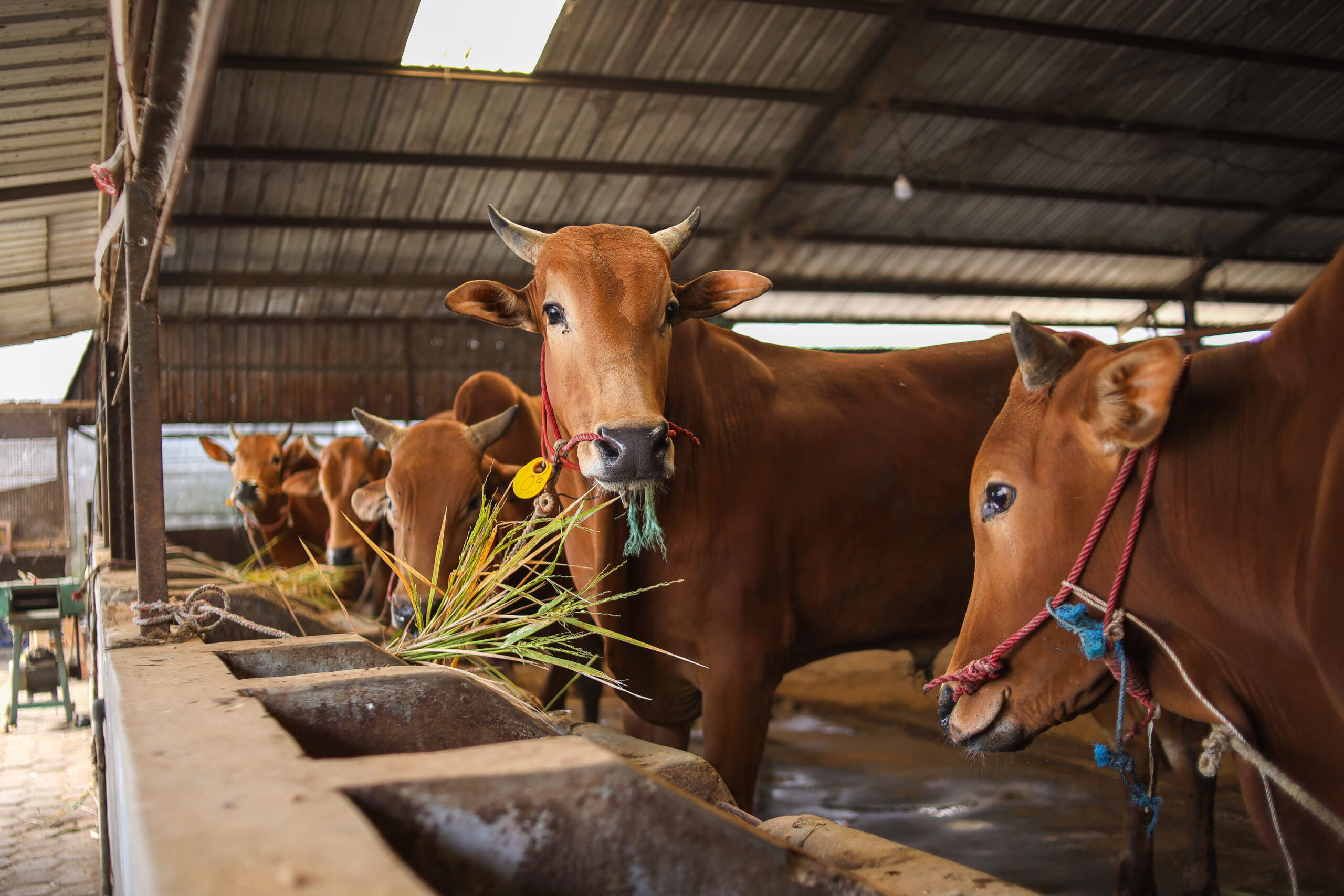 Comunitat i territori Comunitat i territori